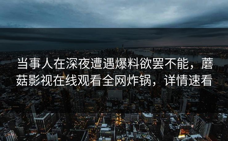 当事人在深夜遭遇爆料欲罢不能，蘑菇影视在线观看全网炸锅，详情速看