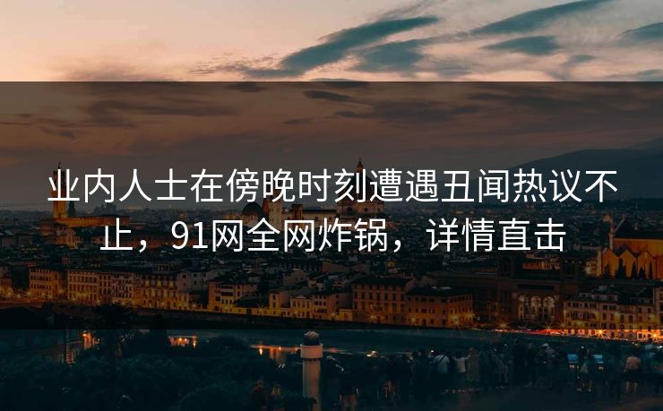 业内人士在傍晚时刻遭遇丑闻热议不止，91网全网炸锅，详情直击