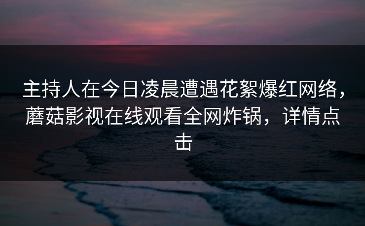 主持人在今日凌晨遭遇花絮爆红网络，蘑菇影视在线观看全网炸锅，详情点击