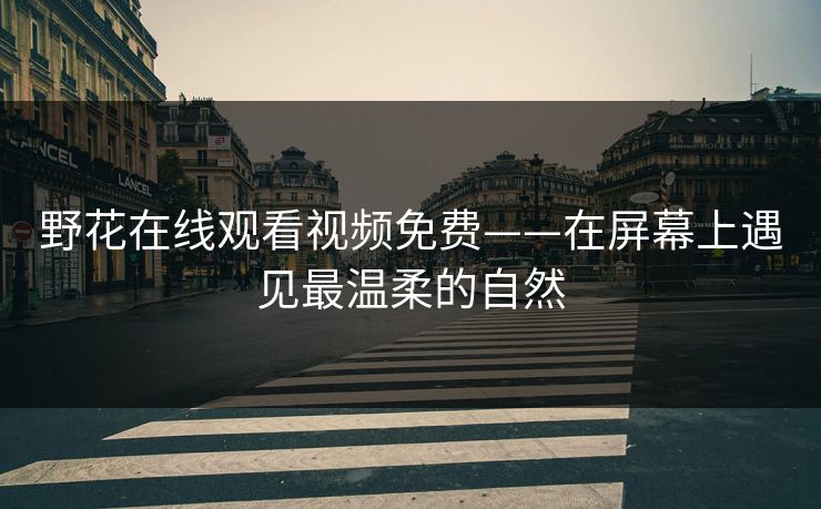 野花在线观看视频免费——在屏幕上遇见最温柔的自然